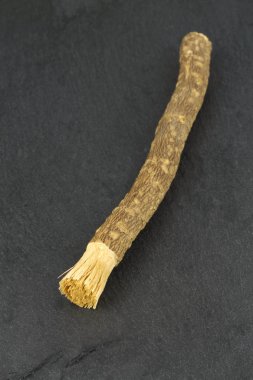 Eski İslam geleneksel doğal diş fırçası Misvak veya Siwak. 