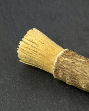 Eski İslam geleneksel doğal diş fırçası Misvak veya Siwak. 
