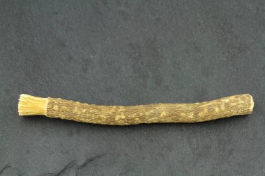 Eski İslam geleneksel doğal diş fırçası Misvak veya Siwak. 