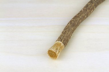 Eski İslam geleneksel doğal diş fırçası Misvak veya Siwak.