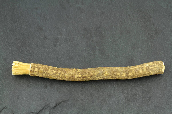 Old islamic traditional natural toothbrush Miswak or Siwak. 