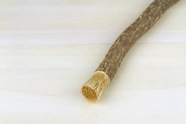 Gamla islamiska traditionella naturliga tandborste Miswak eller Siwak. — Stockfoto