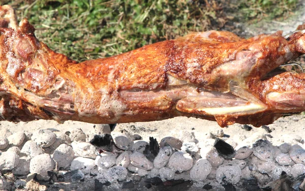 Turning roasted whole lamb on coal fire — Stock Photo, Image