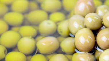 Yeşil Zeytin zeytin yağ boşaltma