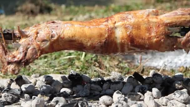 Encender fuego de carbón al cordero entero asado — Vídeo de stock