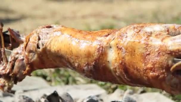 Turning roasted whole lamb on coal fire — Stock Video