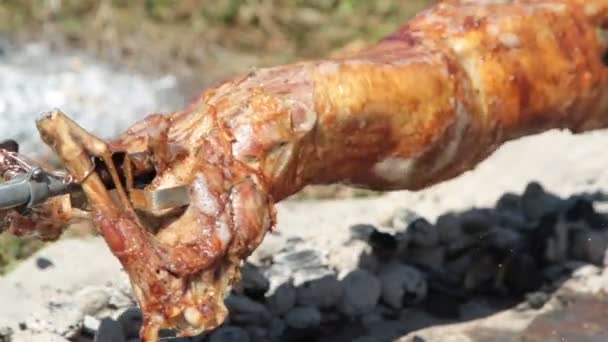 Encender fuego de carbón al cordero entero asado — Vídeos de Stock