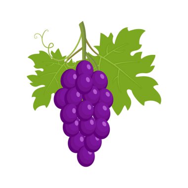Mor üzüm demet