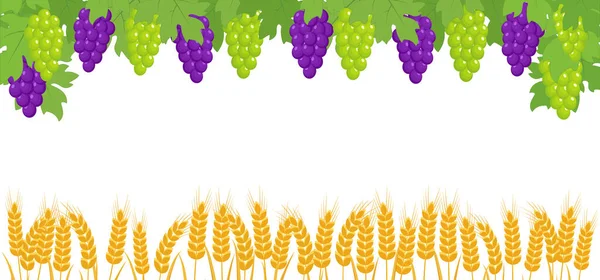 Banner con racimos de uvas, espigas de trigo — Archivo Imágenes Vectoriales