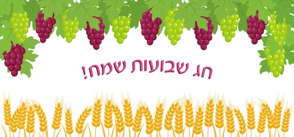 Fiesta judía de Shavuot, estandarte de saludo — Archivo Imágenes Vectoriales