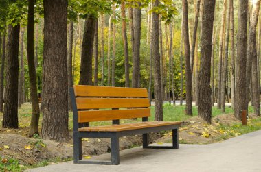 park, bank, sonbahar, arkaplan, yol, ağaç,