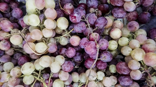 White and red or purple raw grapes. Autumn fruits display for sale at marketplace. Direct sun light rays, natural feeling, selective focus, organic bio grapes box isolated