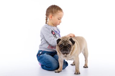 Kız köpek, bir stetoskop dinler önem verdiği.