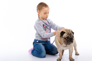 Kız köpek, bir stetoskop dinler önem verdiği.