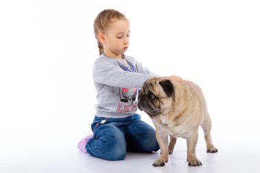 Kız köpek, bir stetoskop dinler önem verdiği.