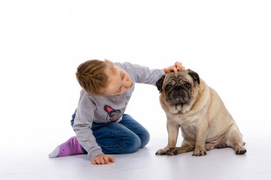 Kız köpek, bir stetoskop dinler önem verdiği.