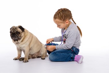 Kız köpek, bir stetoskop dinler önem verdiği.