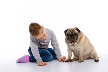 Kız köpek, bir stetoskop dinler önem verdiği.