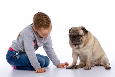 Kız köpek, bir stetoskop dinler önem verdiği.