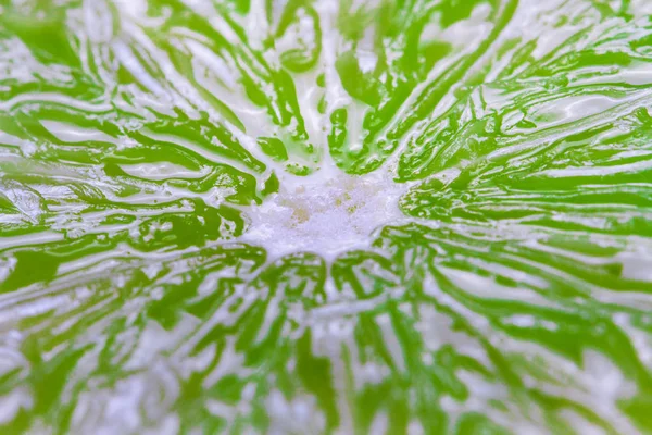 Fond vert avec agrumes de tranches de citron vert — Photo