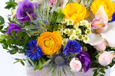 Taze çiçekler parlak buketny kompozisyon, beyaz arka plan izole.