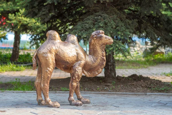 Figurine en bronze d'un chameau — Photo