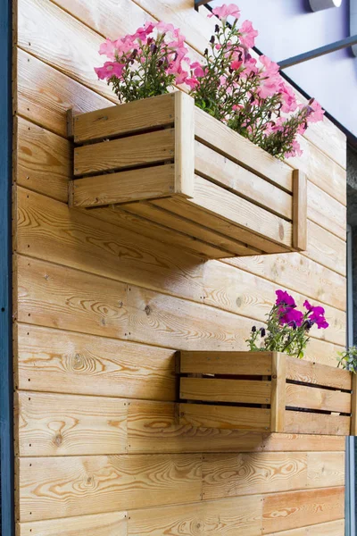 Wooden crates with flowers hanging on the facade of the building