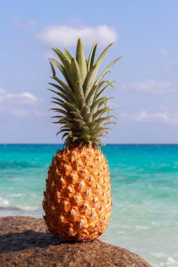 Ananas Meyve turkuaz su karşı kum üzerinde. Similan Adaları Tayland. Tropikal yaz tatil kavramı