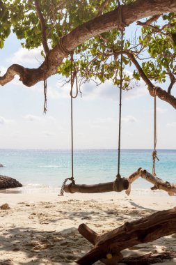 Güzel tropik ada plaj salıncak Koh Kood Trat Tayland ile