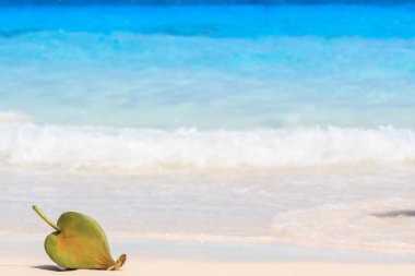 Deniz zehir ağaç meyve Barringtonia asiatica kum ve deniz dalga bir arka plana dayanır. Tayland