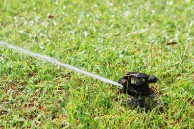 Çimleri sularken otomatik bahçe fıskiyesi.