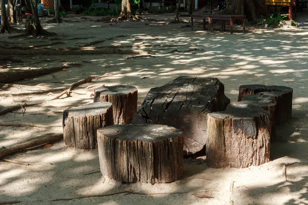 Wooden stumps on the sandy beach at Similan Islands — Stock Photo, Image