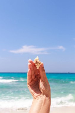 pavurya yandan Lipe Adası Tayland at