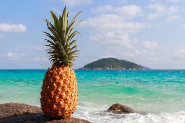 Andaman Denizi, Pasifik ocea arka plan üzerinde ananas