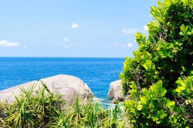 Similan Adası grup görünüm gelin ile kristal berraklığında su, Similan Milli Parkı, Phang nga, Tayland