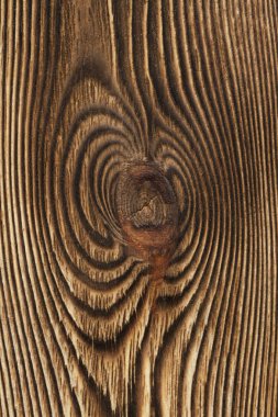 Tahtadan yapılmış duvarları kapatın.