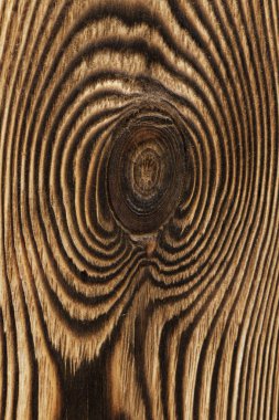 Tahtadan yapılmış duvarları kapatın.