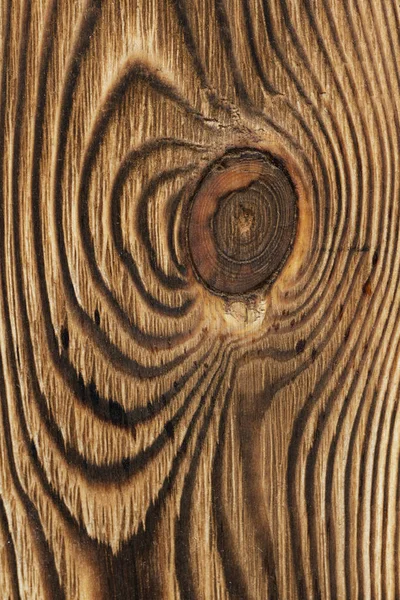 Tahtadan yapılmış duvarları kapatın.