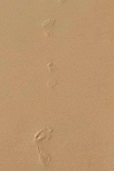 Pegadas em uma praia arenosa. — Fotografia de Stock