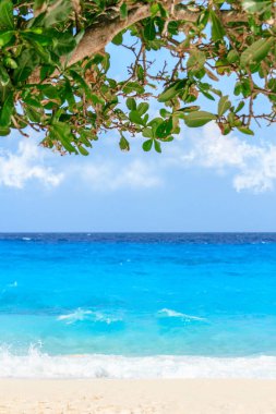 Güzel sahil. Etrafta palmiyeler olan güzel tropikal plaj manzarası. Tatil ve tatil konsepti. Tropik plaj.