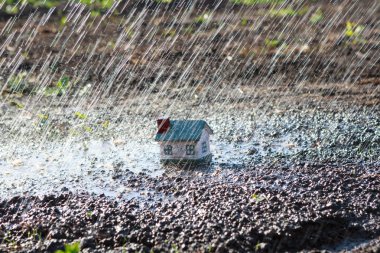 Yağmur küçük bir evde.