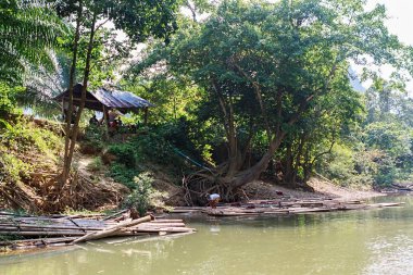 Kao Lak, Tayland - 7 Mart 2017: Tayland turist için bir tur olarak yeşil tropikal sahne rafting bambu