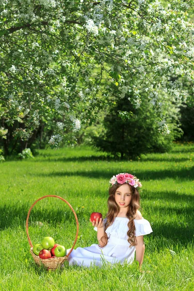 Meisje in witte jurk op achtergrond van groene Park zittend op het gras naast een mand met appels — Stockfoto