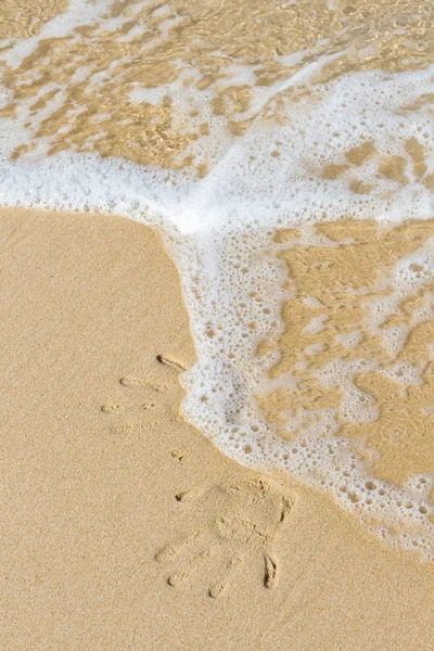 Tracce sulla sabbia — Foto Stock
