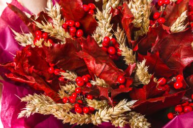 Buket kompozisyon. Buğday kulakları ile kırmızı akçaağaç yaprakları.