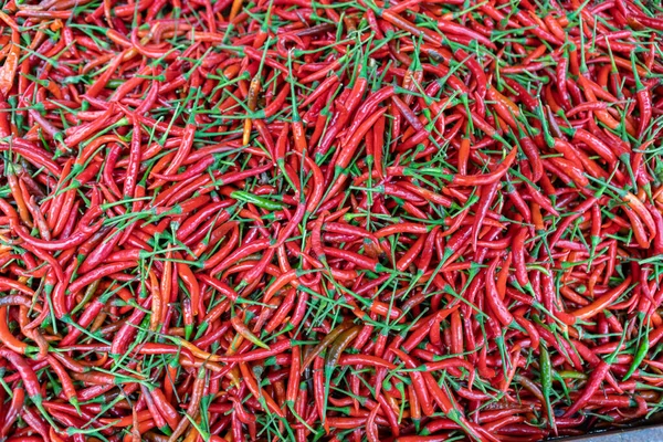 Fond Gros Piments Rouges — Photo