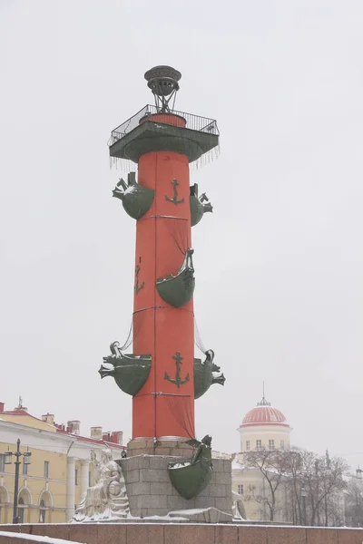 Россия Санкт Петербург Ростральная Колонна Метели — стоковое фото