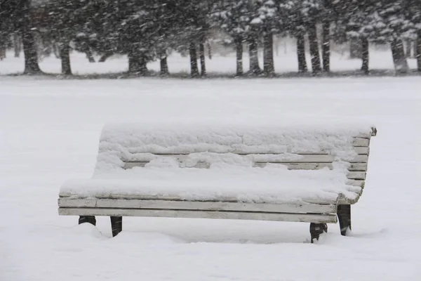 Ławka Parku Zmieciony Przez Śnieg Podczas Śnieżyce — Zdjęcie stockowe