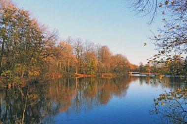 bir göl kıyısında sonbahar ağaçlar