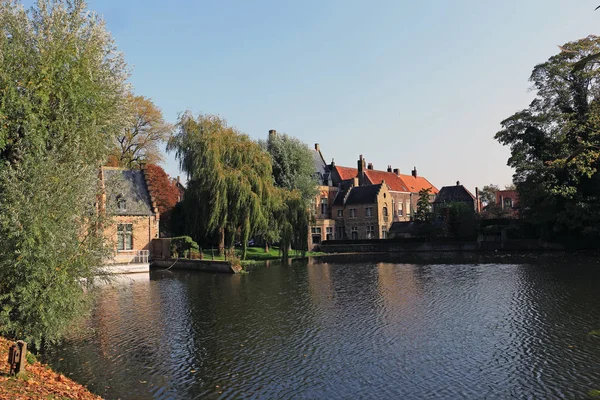 Belgium, Bruges, ancient houses and trees on the shore